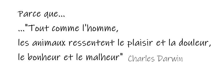 Banniere site 1